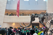 “五一”假期首日 近两万游客走进重庆自然博物馆